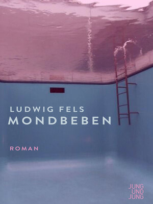cover image of Mondbeben